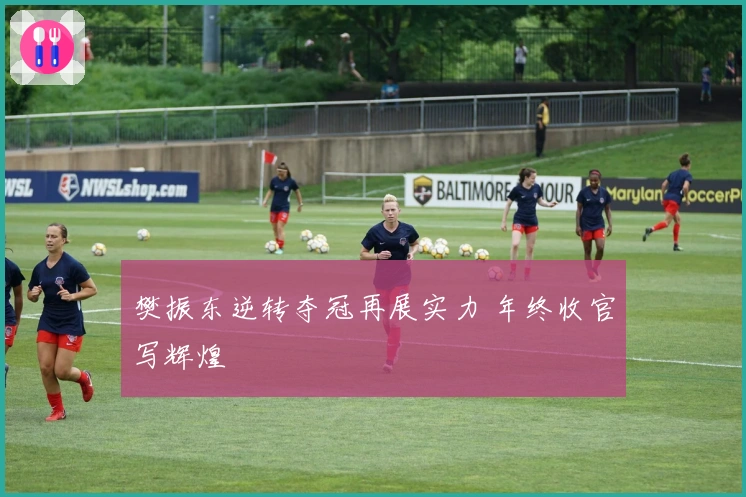 樊振东逆转夺冠再展实力 年终收官写辉煌