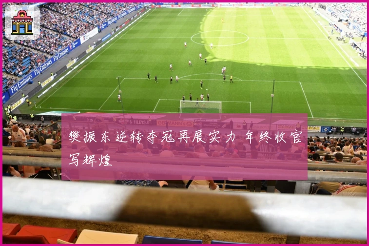 樊振东逆转夺冠再展实力 年终收官写辉煌